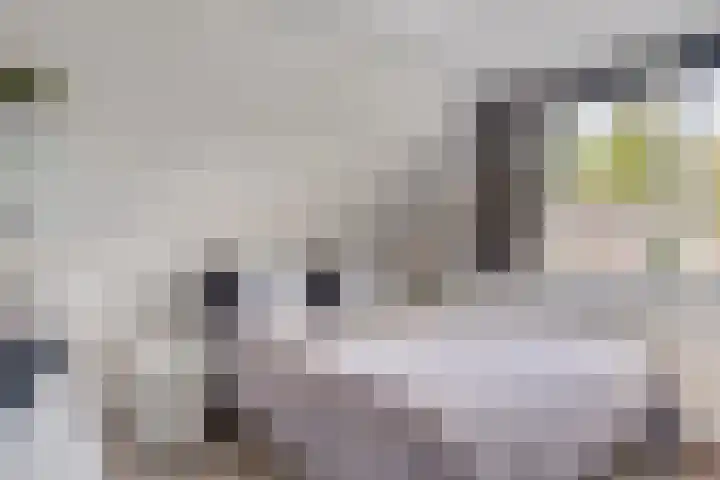 Oude Notewei 12 Kloetinge thumbnail 26