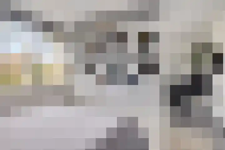Oude Notewei 12 Kloetinge thumbnail 27