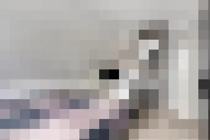 Oude Notewei 12 Kloetinge thumbnail 31