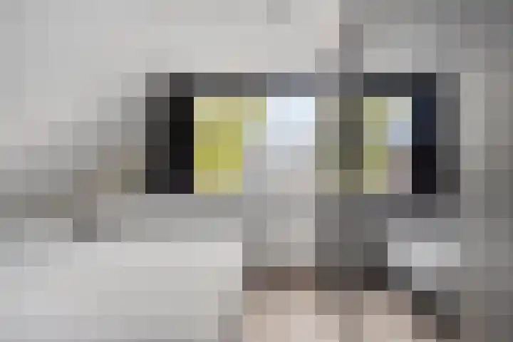 Oude Notewei 12 Kloetinge thumbnail 34