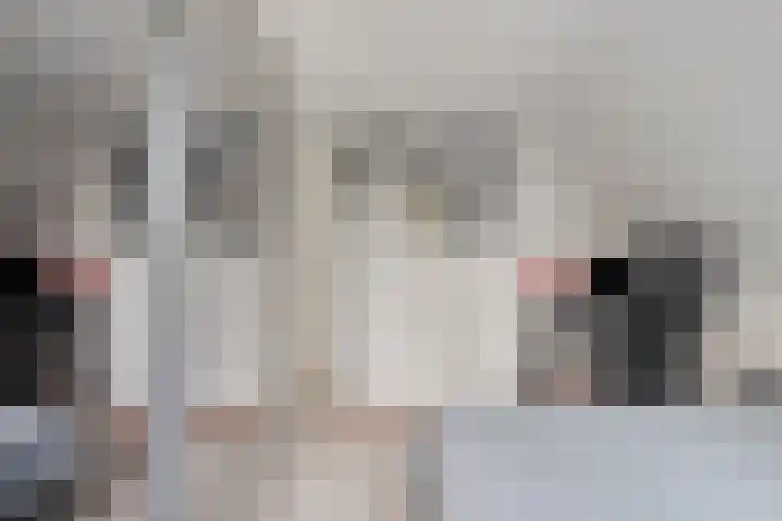 Oude Notewei 12 Kloetinge thumbnail 35