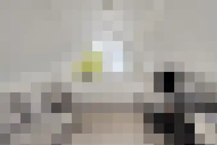 Oude Notewei 12 Kloetinge thumbnail 37