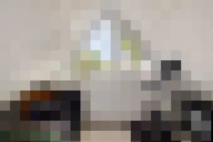 Oude Notewei 12 Kloetinge thumbnail 39