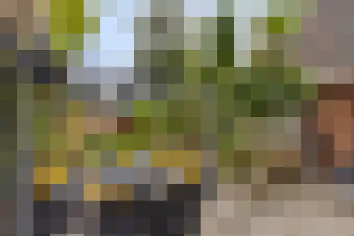 Oude Notewei 12 Kloetinge thumbnail 4