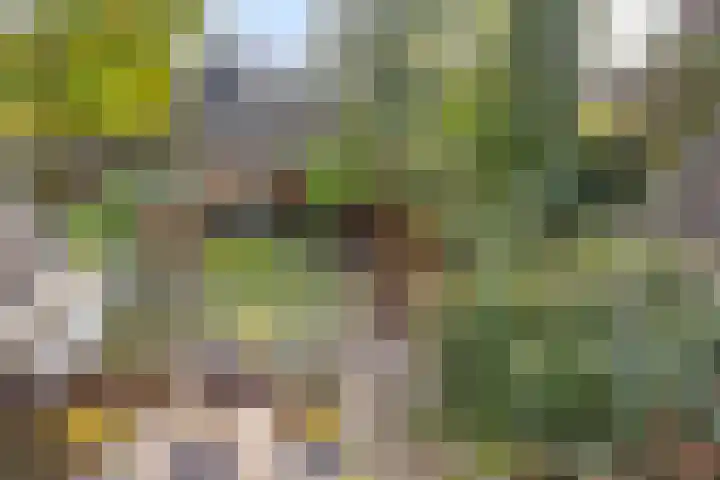 Oude Notewei 12 Kloetinge thumbnail 41