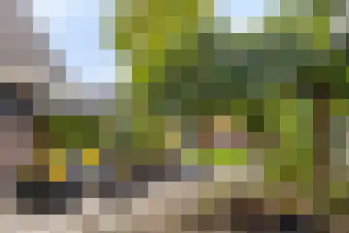 Oude Notewei 12 Kloetinge thumbnail 42