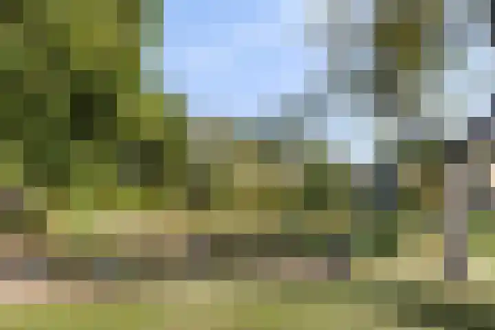 Oude Notewei 12 Kloetinge thumbnail 45