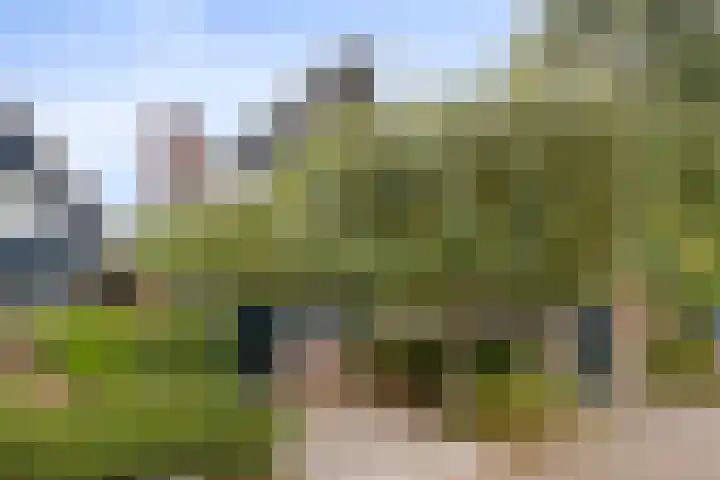 Oude Notewei 12 Kloetinge thumbnail 6