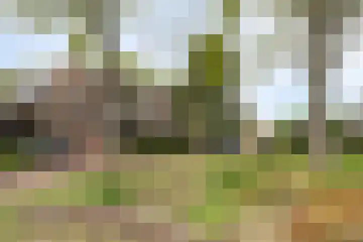 Oude Notewei 12 Kloetinge thumbnail 7