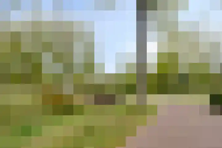 Oude Notewei 12 Kloetinge thumbnail 8