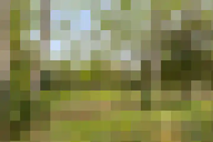 Oude Notewei 12 Kloetinge thumbnail 9