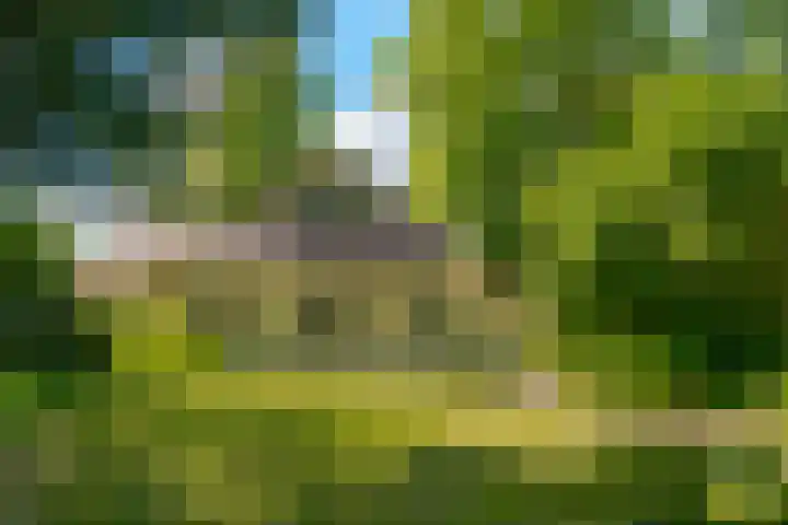 Oude Oever 4 Dalfsen thumbnail 11
