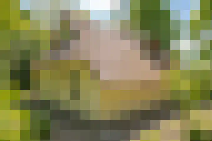 Oude Oever 4 Dalfsen thumbnail 12