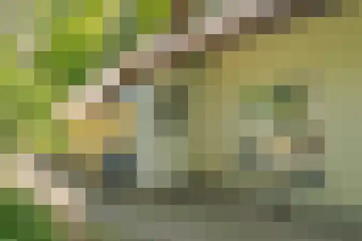 Oude Oever 4 Dalfsen thumbnail 13