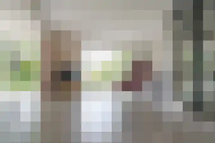 Oude Oever 4 Dalfsen thumbnail 16