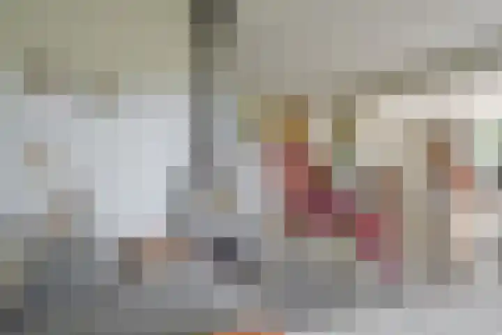 Oude Oever 4 Dalfsen thumbnail 19