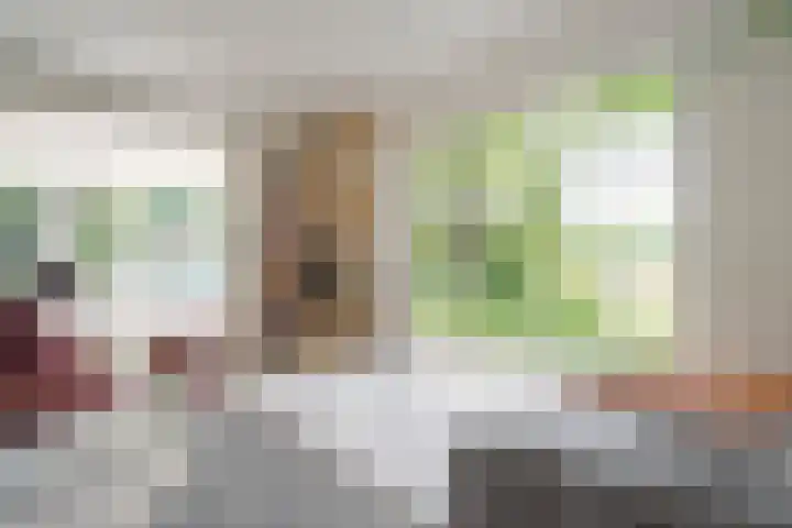 Oude Oever 4 Dalfsen thumbnail 20
