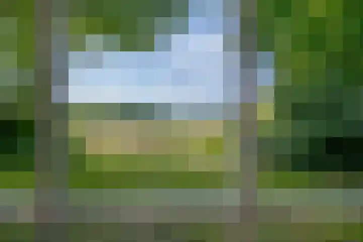 Oude Oever 4 Dalfsen thumbnail 21