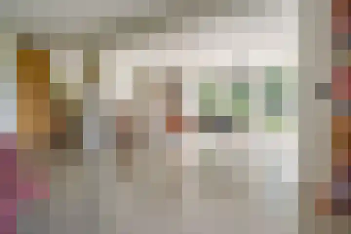 Oude Oever 4 Dalfsen thumbnail 22
