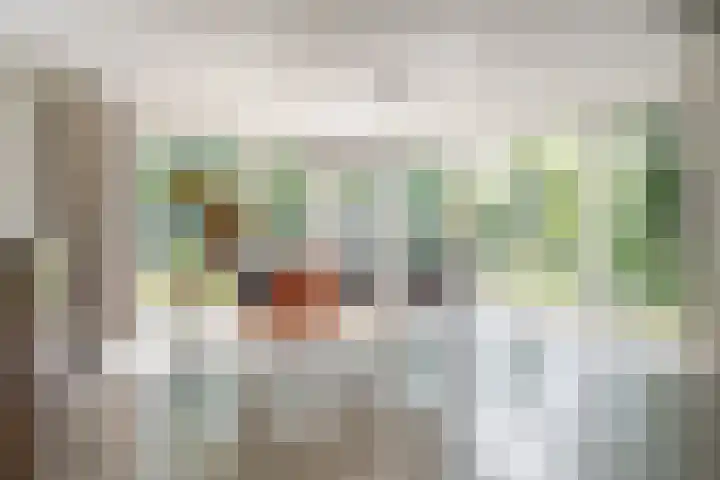 Oude Oever 4 Dalfsen thumbnail 23