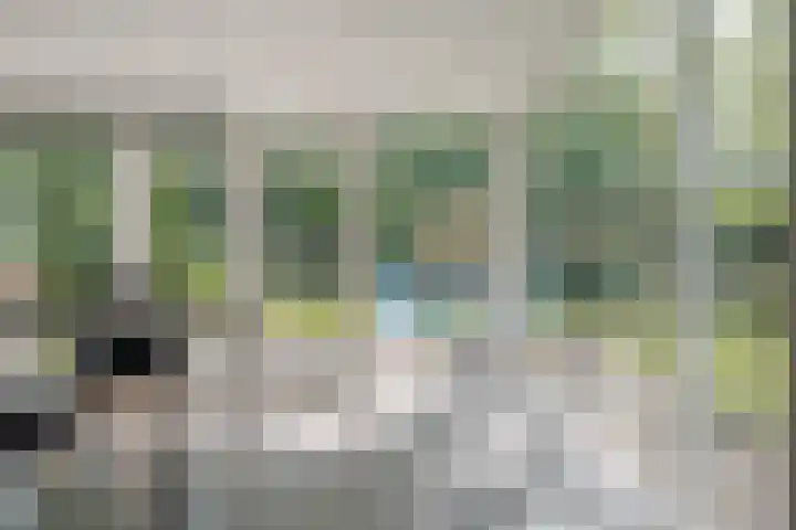 Oude Oever 4 Dalfsen thumbnail 24