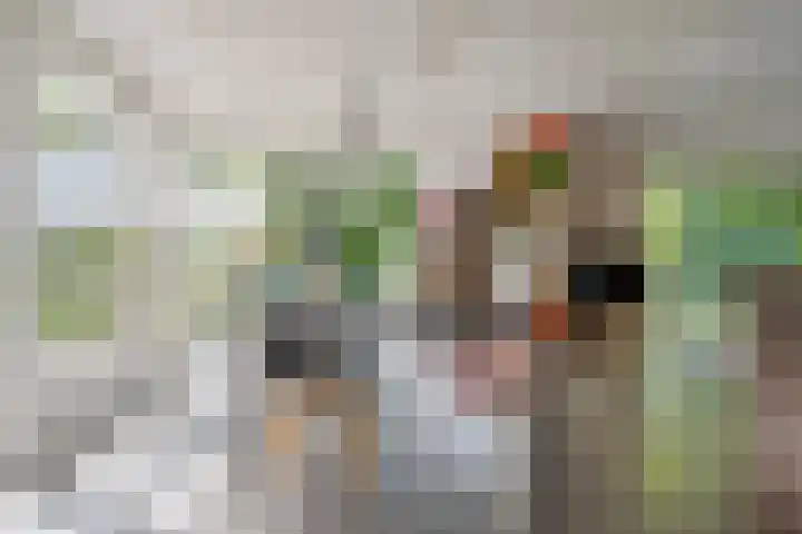 Oude Oever 4 Dalfsen thumbnail 25