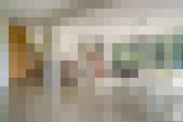 Oude Oever 4 Dalfsen thumbnail 26
