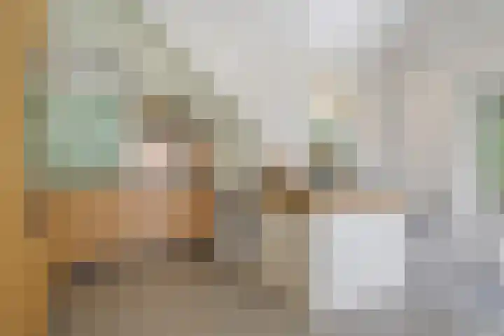 Oude Oever 4 Dalfsen thumbnail 28