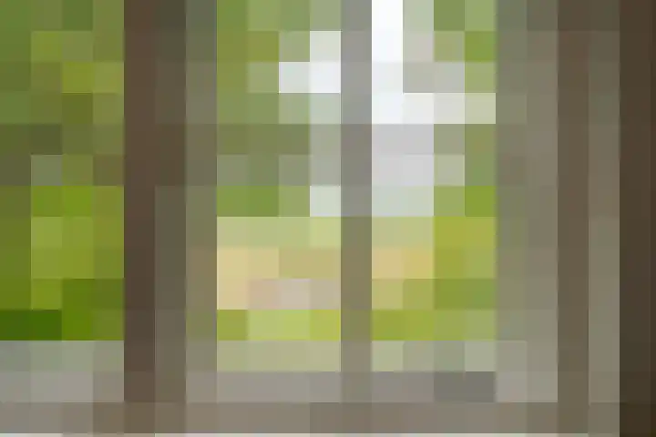 Oude Oever 4 Dalfsen thumbnail 29