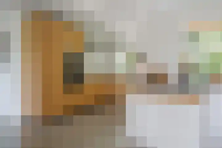 Oude Oever 4 Dalfsen foto 3