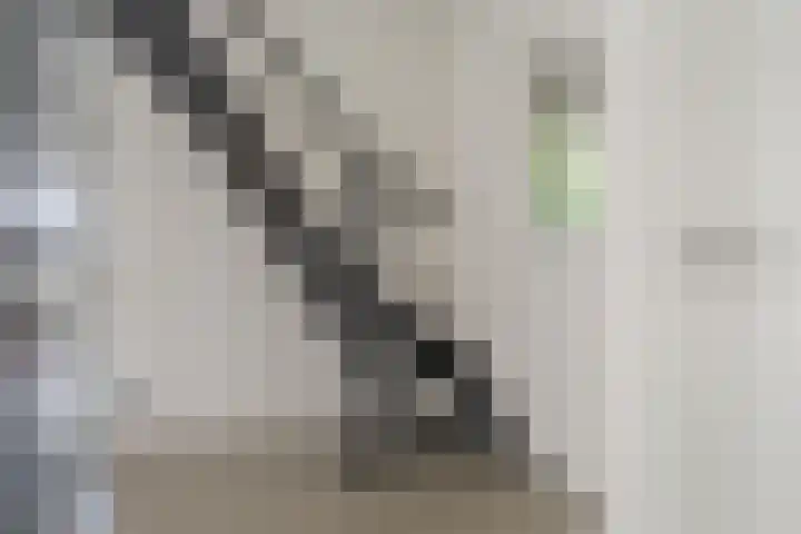 Oude Oever 4 Dalfsen thumbnail 33