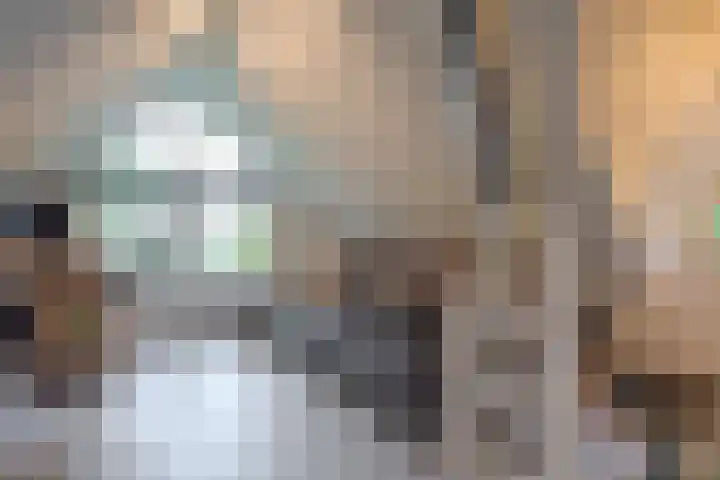 Oude Oever 4 Dalfsen thumbnail 34
