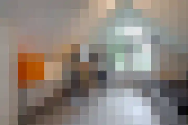 Oude Oever 4 Dalfsen thumbnail 36