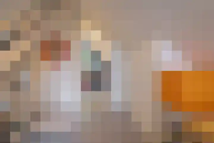 Oude Oever 4 Dalfsen thumbnail 38