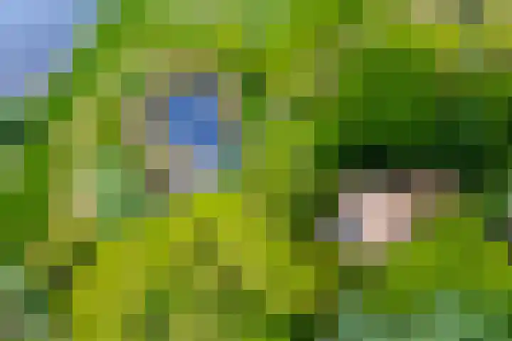 Oude Oever 4 Dalfsen thumbnail 4