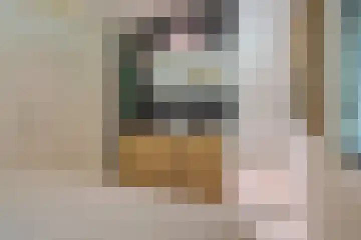 Oude Oever 4 Dalfsen thumbnail 43