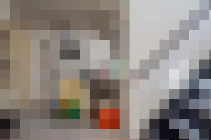 Oude Oever 4 Dalfsen thumbnail 46