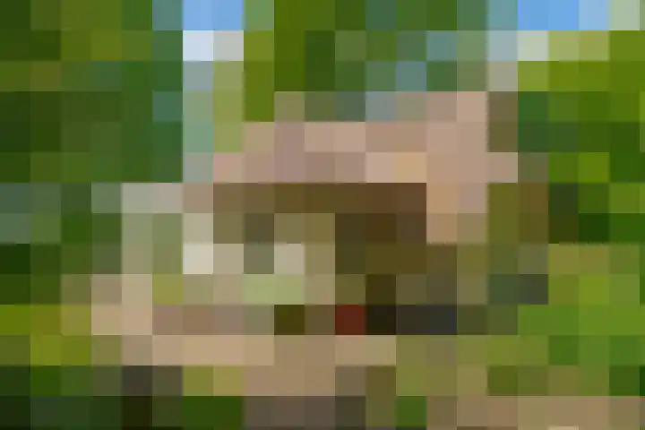 Oude Oever 4 Dalfsen thumbnail 5