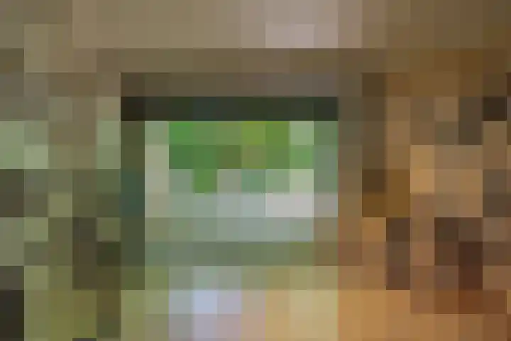 Oude Oever 4 Dalfsen thumbnail 50