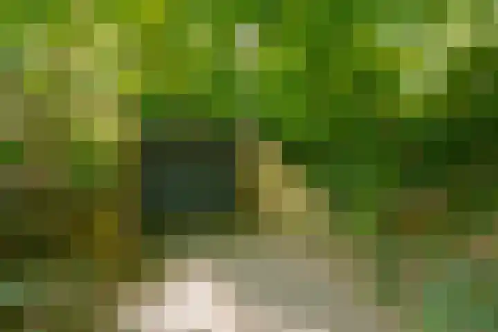 Oude Oever 4 Dalfsen thumbnail 51