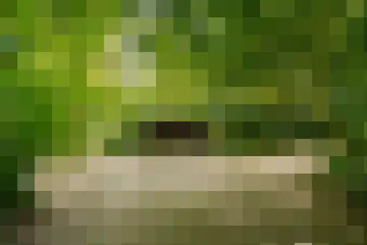Oude Oever 4 Dalfsen thumbnail 52