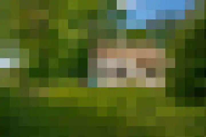 Oude Oever 4 Dalfsen thumbnail 54