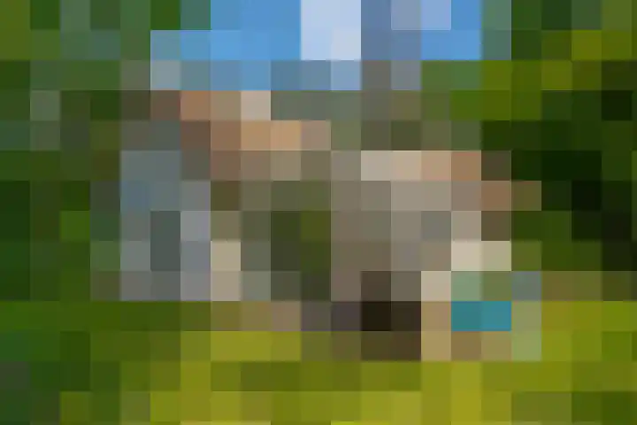 Oude Oever 4 Dalfsen thumbnail 55