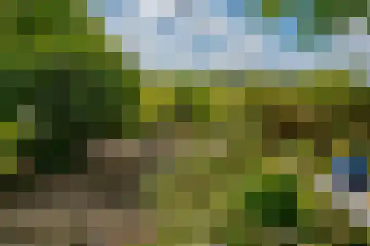 Oude Oever 4 Dalfsen thumbnail 56