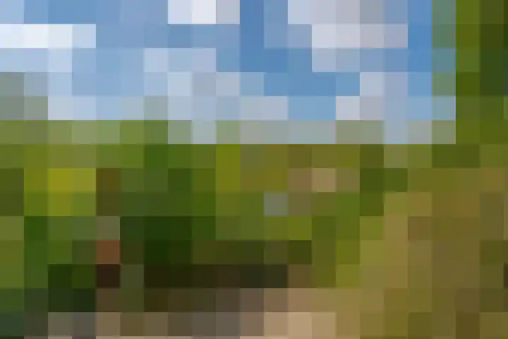Oude Oever 4 Dalfsen thumbnail 57