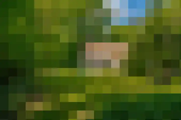 Oude Oever 4 Dalfsen thumbnail 58