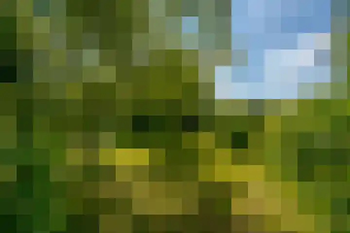 Oude Oever 4 Dalfsen thumbnail 59