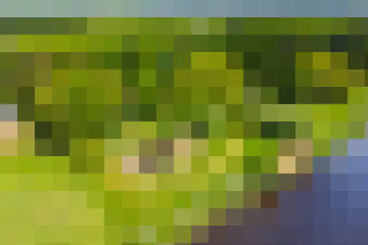 Oude Oever 4 Dalfsen thumbnail 6