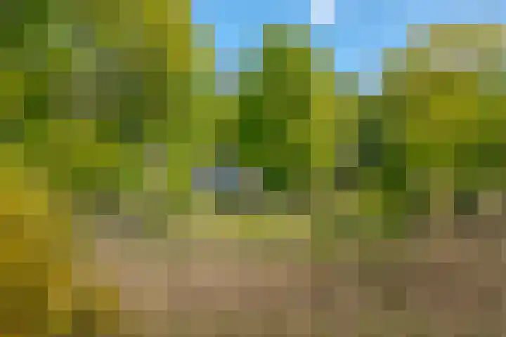 Oude Oever 4 Dalfsen thumbnail 60