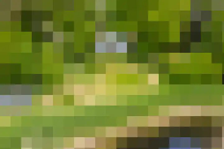 Oude Oever 4 Dalfsen thumbnail 61
